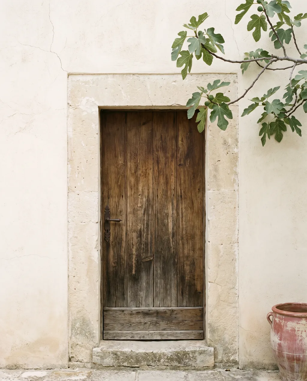 A sun bleached wooden door in a limestone wall with fig leaves